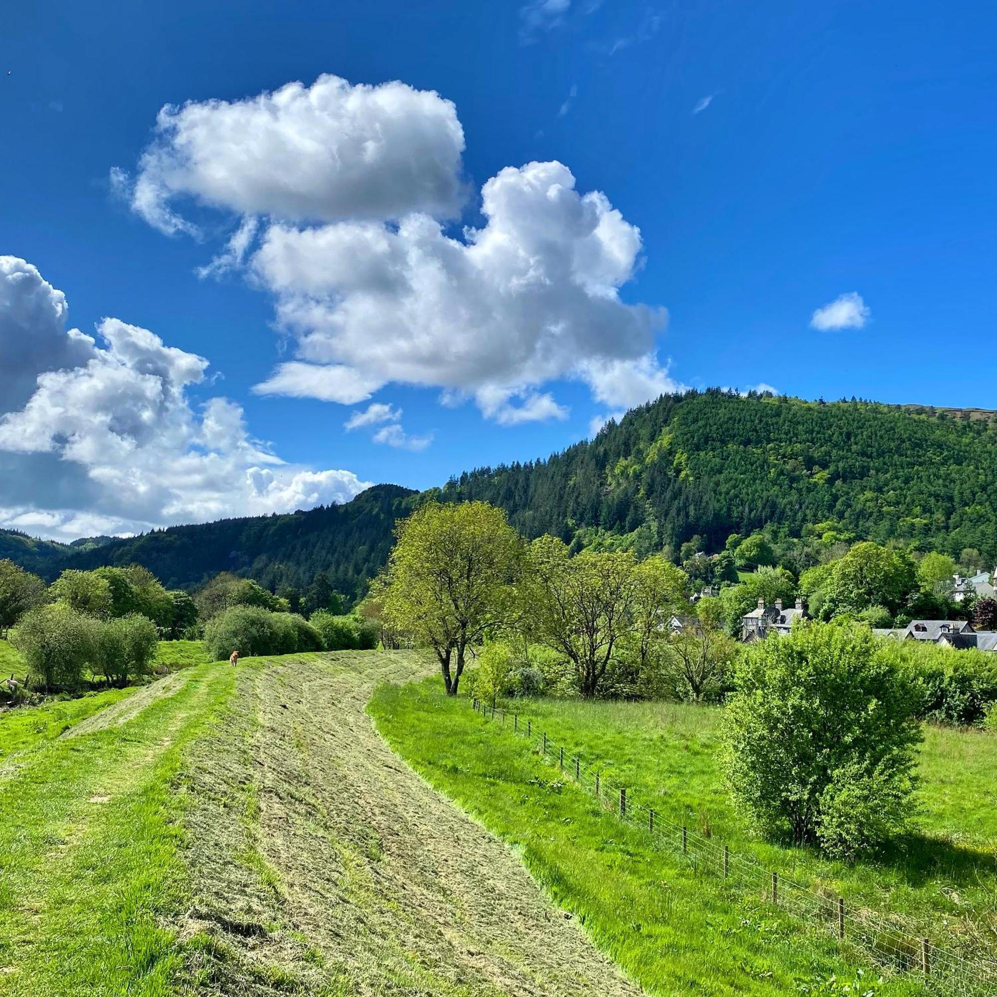 Crafnant House - Bed & Breakfast Trefriw 外观 照片